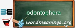 WordMeaning blackboard for odontophora